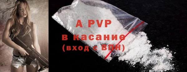 шишки Богданович