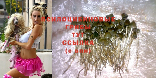 кристаллы Бородино