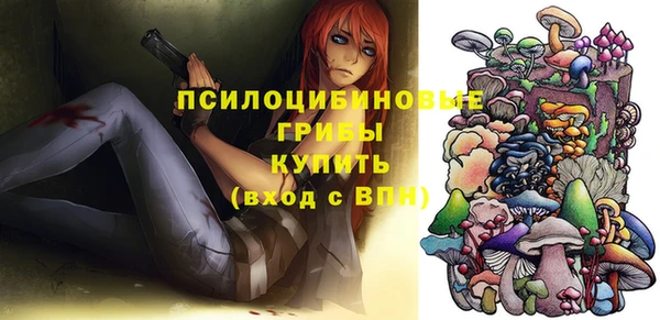 альфа пвп Беломорск
