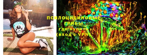 шишки Богданович