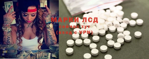 соль ск Белокуриха